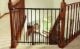 Hardware-Mounted Baby Gate